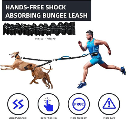 Uppetly Hands Free 2 Dog Running Leash with Waist Belt, Dual Handle Elastic Bungees Retractable Rope for Medium and Large Dogs, Reflective Stitches for Walking Hiking Biking (Large Blue, 25-120lb)