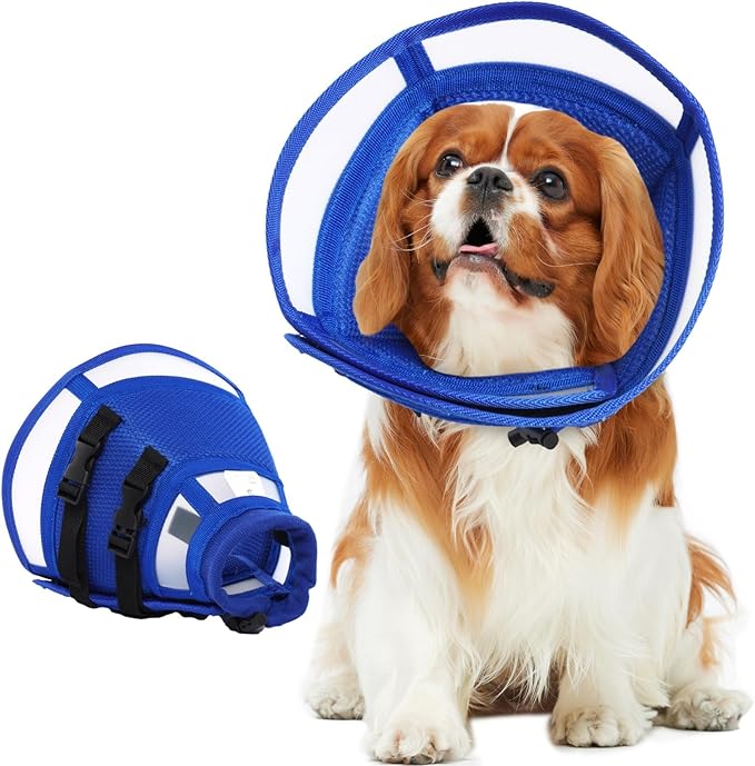 Dog Cone for Medium Dogs to Stop Licking | Adjustable Elizabethan Collar for After Surgery for Neutering, Lightweight Breathable Recovery E-Collar to Prevent Biting Wounds (Blue, L)
