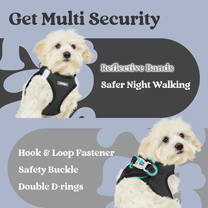 rabbitgoo Small Dog Harness, Step-in Soft Mesh Puppy Vest with Safety Buckle, Breathable Reflective Pet Harness for Small Medium Dogs, Black XL