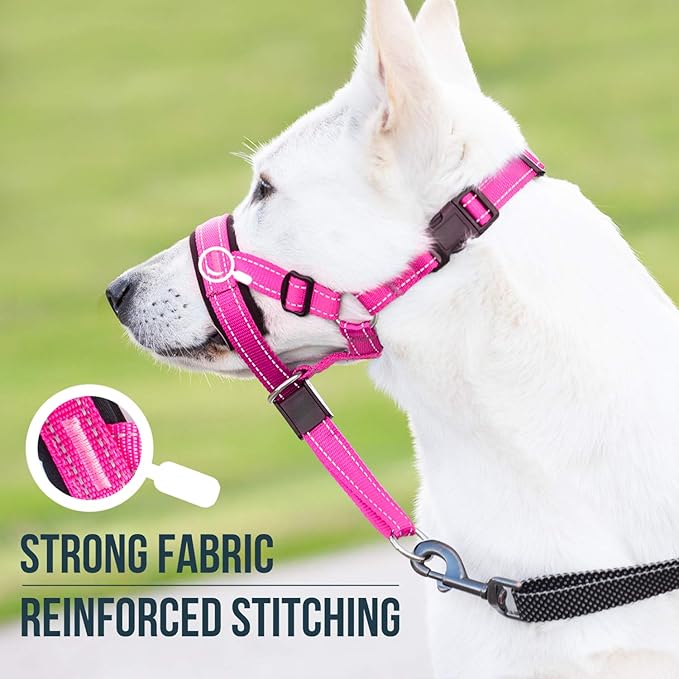 GoodBoy Dog Head Halter with Safety Strap - Stops Heavy Pulling On The Leash - Padded Headcollar for Small Medium and Large Dog Sizes - Head Collar Training Guide Included (Size 2, Pink Nylon)