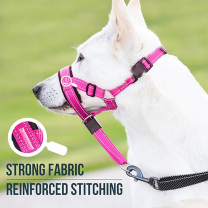 GoodBoy Dog Head Halter with Safety Strap - Stops Heavy Pulling On The Leash - Padded Headcollar for Small Medium and Large Dog Sizes - Head Collar Training Guide Included (Size 2, Pink Nylon)