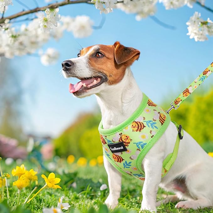 SCENEREAL Small Dog Harness and Leash Collar Set - No Pull Dog Harness for Small & Medium Sized Dogs - Soft Mesh Vest for Puppies, Chihuahua, Yorkie, Spring Summer Hiking Walking, Green Bee M