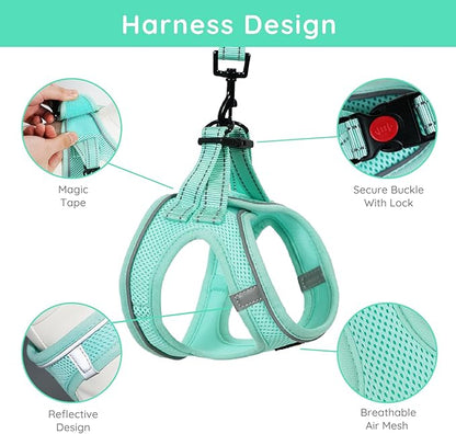 BELLA & PAL Step in Vest Harness for Small and Medium Dogs, No Pull Small Dog Harness with Leash Set, Comfortable Air Mesh Dog Vest Harness with Reflective Strip (Light Green, L)