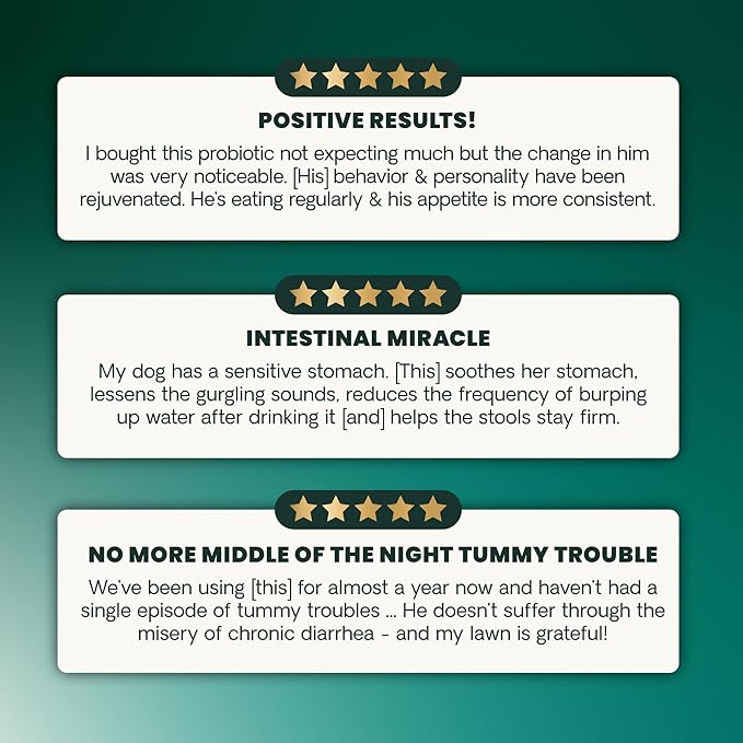 VetriScience Extra Strength Healthy Gut & Digestion Chewable Tablets, Probiotic BD Digestive Enzyme Supplement for Dogs, Soothe Gut and Bowel Discomfort, Chicken, 120 Count