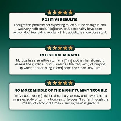 VetriScience Extra Strength Healthy Gut & Digestion Chewable Tablets, Probiotic BD Digestive Enzyme Supplement for Dogs, Soothe Gut and Bowel Discomfort, Chicken, 120 Count