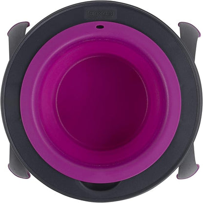 Dexas Pets Single Elevated Pet Feeder/Pet Bowl, 4 Cup Capacity, Fuchsia, Large/4 Cup Capacity