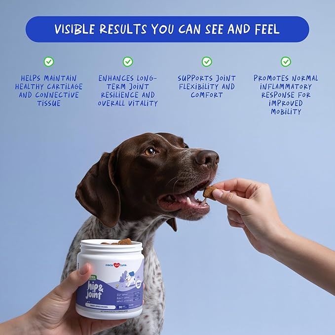 Hip and Joint Supplement for Dogs - with Collagen, Glucosamine for Dogs - Fish Oil - Green Lipped Mussel - Hip & Joint Support, Ease Inflammation, Antioxidant.