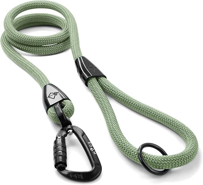 MADE TO ROAM Premium Explorer Leash - Climbing Rope Leash with Autolocking Aviation Aluminum Carabiner - Washington Rain, 6ft