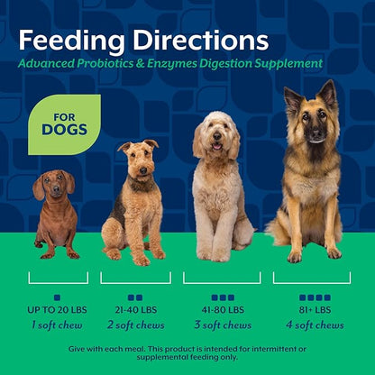 NaturVet Advanced Probiotics & Enzymes, PB6 Dog Soft Chews to Help Sensitive Stomachs and Digestive Issues, Hickory Smoked Bacon Flavored Pet Supplement for Dogs Over 6 Weeks, 240 Count Jar