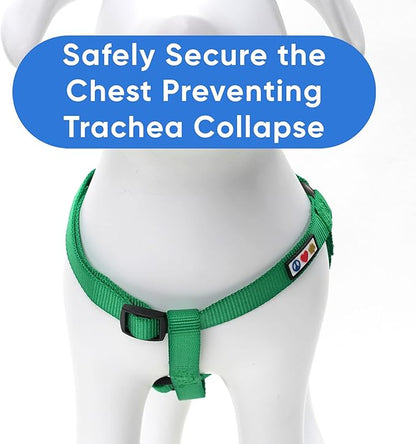 Pawtitas Solid Step-in Dog Harness – Adjustable No-Pull Vest for Puppies to Seniors, Safe & Comfortable XS Lush Green