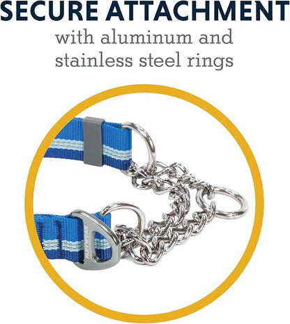 Ruffwear, Chain Reaction Dog Collar, Adjustable Reflective Martingale Escape-Proof Collar with Stainless Steel Chain, Professional Training Control, Blue Pool, 14"-20"