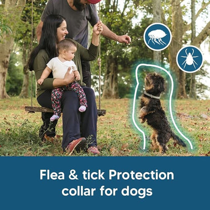 NJKPUYT Flea Collar for Dogs Small, Dog Tick Collar,Tick Collars for Dogs, Lasts As Long As 8 Months Per Collars, Easy to Apply-2P