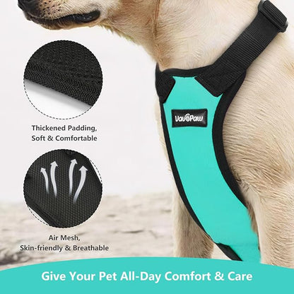 VavoPaw Dog Seat Belt, Safety Vest Dog Car Harness with Adjustable Buckle Dog Seat Belt for Vehicle Nylon Pet Safety Seat Belts Heavy Duty(XXL, Blue)