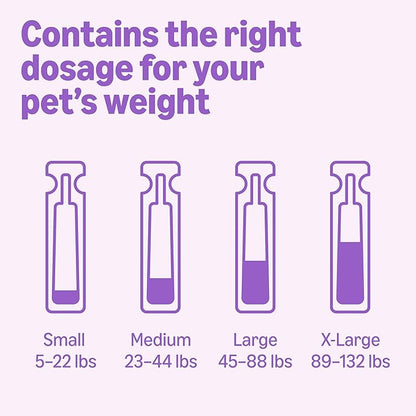 Amazon Basics Preventative Flea and Tick Topical Treatment for Dogs, Large (45-88 lbs), Fast Acting and Long Lasting, 6 Counts, Packaging May Vary