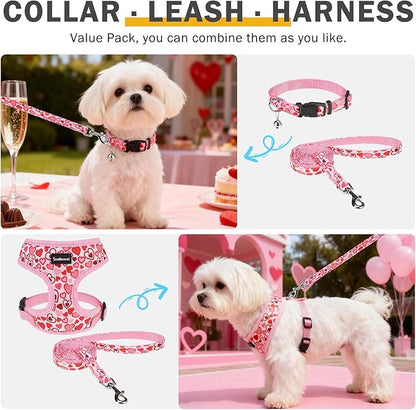 SCENEREAL Valentines Dog Harness Collar and Leash Set for Small Dogs, Soft Mesh Harnesses，Pet Vest for Outdoor Walking Training and Running, XS