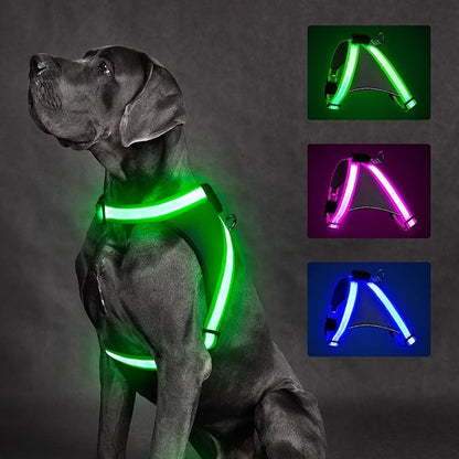 ChalkLit Light Up Dog Harness, No Pull Led Dog Harness Glow-in-The-Dark for Night Walking, USB Rechargeable Lighted Safety Vest for Small Dogs, Adjustable Soft Mesh Fully Illuminated (Green, Small)