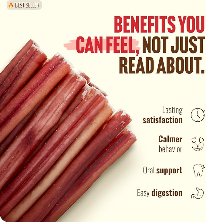 Natural Farm Odor-Free Select Bully Sticks, (12-Inch, 1-Pound), Hand Selected for Consistent Thickness, 100% Beef Pizzle Dog Chews, Fully Digestible, High Protein, Best Dental Treats