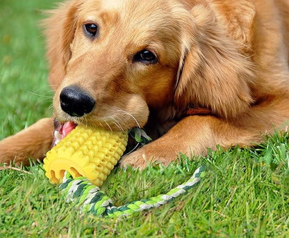Carllg Dog Chew Toys, Puppy Toothbrush Clean Teeth Interactive Corn Toys, Dog Toys Aggressive Chewers Medium Large Breed