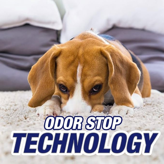 Resolve Pet Expert Stain and Odor Remover, Carpet Cleaner, Pet Stain andOdor Remover, Carpet & Upholstery Cleaner - Removes Stains andOdors, 22 oz (Pack of 2)