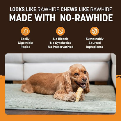 Earth Animal No Hide Chews - Long Lasting Rawhide Free Small Dog Chews Rolls, Chicken - 6 Count
