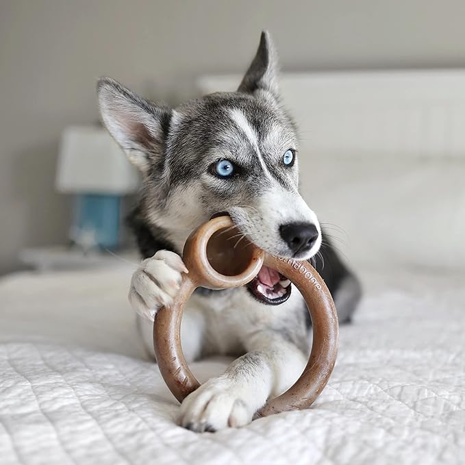 Lumabone Ring Stuffer Durable Chew Toy for Aggressive Chewers, Real Beef, Made in USA, Large
