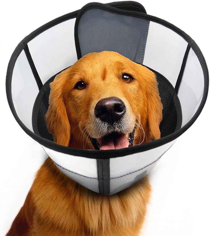 WinWeal Soft Dog Cone Collar for Dogs After Surgery, Transparent Breathable Pet Recovery Collar for Large Medium Dogs, Adjustable Dog Cone Collar, Elizabethan Collar (M, Black)
