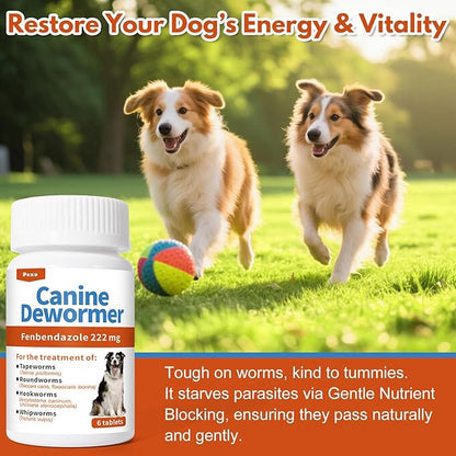 Canine Dewormer (Fenbendazole) for Roundworms, Hookworms, Tapeworms & Whipworms, 6 Chewable Tablets