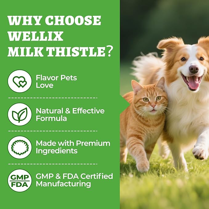 Wellix 8.8oz Milk Thistle for Dogs&Cats - Organic Milk Thistle Powder for Liver and Antioxidants Supplements - Rich in Omega-3 & Astragalus - Chicken Flavor