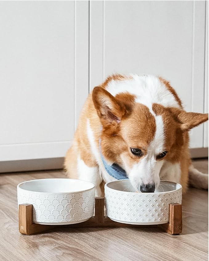 LE TAUCI Dog Bowl Set with Acacia Wood Stand - 1.5-Cup Ceramic Puppy Bowls for Small Dogs, Dual Food and Water Bowls with Weighted Non-Slip Base