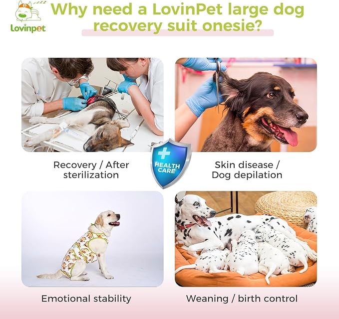 LovinPet Dog Recovery Suit - Medium Large - After Surgery Big Dog Recovery Suit Anti Licking Abdominal Wound Surgical Clothes Post-Operative Vest E-Collar Alternative,Monkey,Green,L