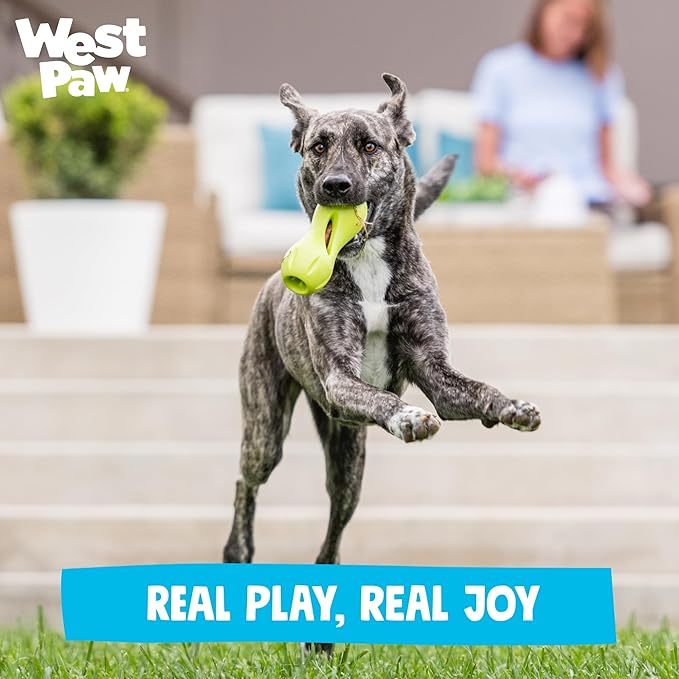 West Paw Qwizl Durable Zogoflex Dog Puzzle Toy for Mental Stimulation, and Enrichment - Treat Dispensing for Bully Sticks and Dental Sticks - Dishwasher Safe - Made in USA - Large - Periwinkle