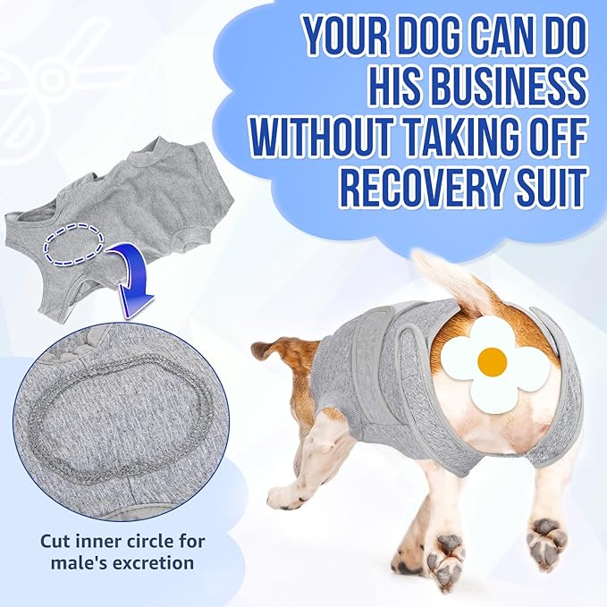 Lukovee Recovery Suit for Dogs, Zipper On Recovery Suit for Female Male Dog, Onesie Abdominal Wounds Cone E-Collar Alternative Prevent Licking Spay Recovery Suit (Large, Gy)