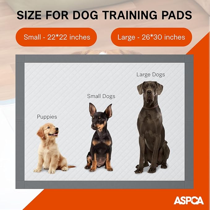 ASPCA - Scented Puppy Pads Extra Absorbent Dog Training Pads for Cats & Dogs Leak-Proof Layers Odor Control & Quick-Dry Non-Slip & Tear-Resistant Travel Friendly Pack of 50 Size 22" x22'