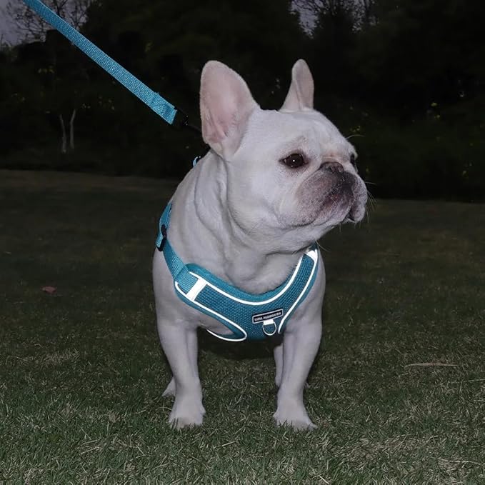 Dog Harness and Leash Set, Adjustable Triangle, Reflective Adjustable Puppy Vest, No Pull Soft Mesh Harness for Small, Medium Dogs, Cats (Turquoise, XL)