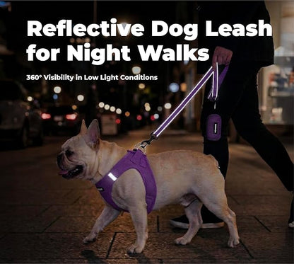 Best Pet Supplies Voyager Reflective Dog Leash or Collar with Neoprene Handle, for Small, Medium, and Large Breed Puppies, Cute and Heavy Duty for Walking, Running and Training - Purple (Leash), L