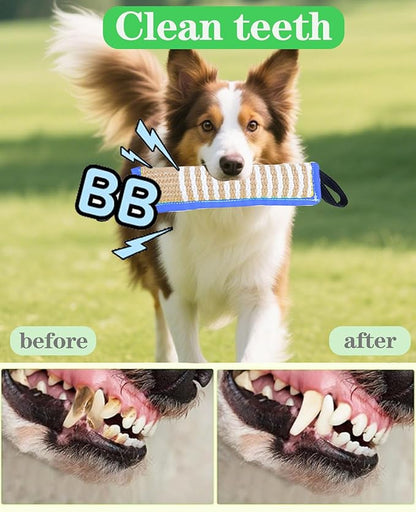 Clysoru Squeaky Tug Toy for Dogs Jute with 2 Strong Handles Lasting Training Equipment Puppy to Large Dog Interactive Toys of War Pull Indestructible Rope Pet Crinkle Teething (Blue)