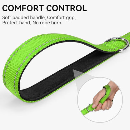 Joytale Dog Leash, 5 FT Double-Sided Reflective, Padded Handle Nylon Heavy Duty Leashes for Small Dogs Walking, Green