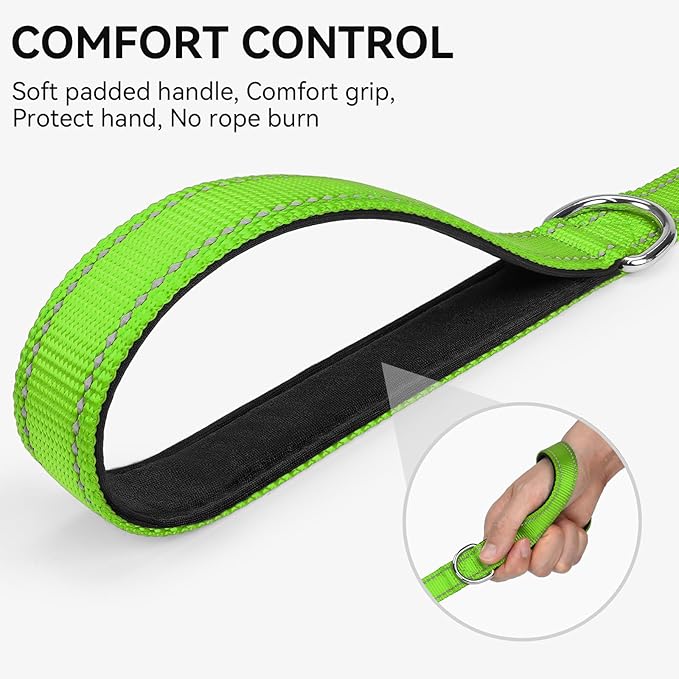 Joytale Dog Leash, 5 FT Double-Sided Reflective, Padded Handle Nylon Heavy Duty Leashes for Medium & Large Dogs Walking, Green