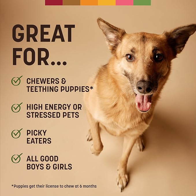 Earth Animal No Hide Strips - Natural Rawhide Free Dog Chew Strips, Pork - 4 Count