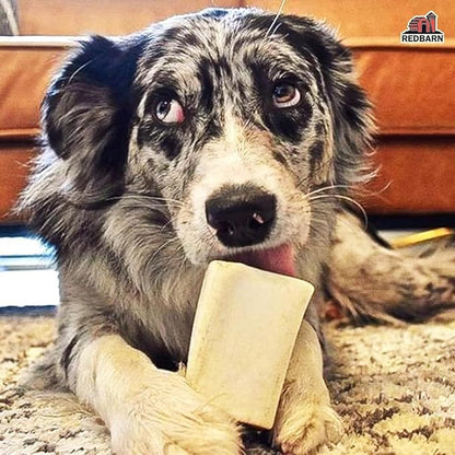 Small Filled Bone BBQ 20ct