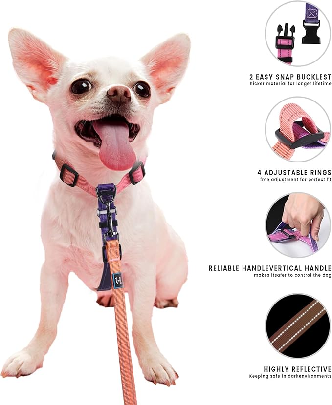 Roses&Poetry Puppy Dog Harness and Leash Set, No Pull Dog Harness Adjustable Reflective, Dog Halter Harnesses Comfort Padded Handle, Pet Harness for Training Outdoor Walking（Mistyrose-XS