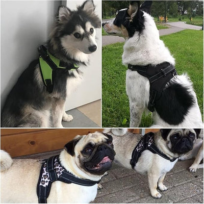 Oxford Cloth Dog Harness Leash Set for Large Medium Small Dogs Adjustable Reflective Harness for Dog(1,-XL)
