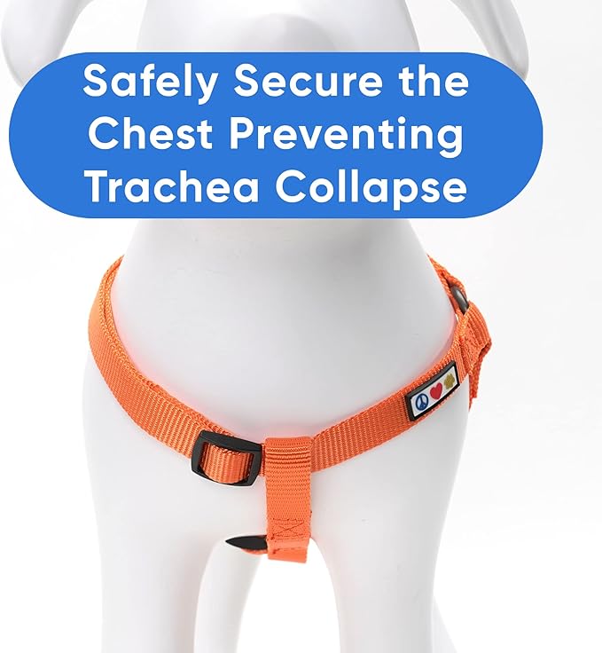 Pawtitas Solid Step-in Dog Harness – Adjustable No-Pull Vest for Puppies to Seniors, Safe & Comfortable S Orange