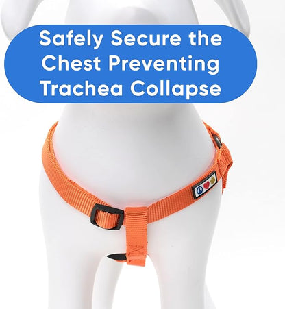 Pawtitas Solid Step-in Dog Harness – Adjustable No-Pull Vest for Puppies to Seniors, Safe & Comfortable L Orange