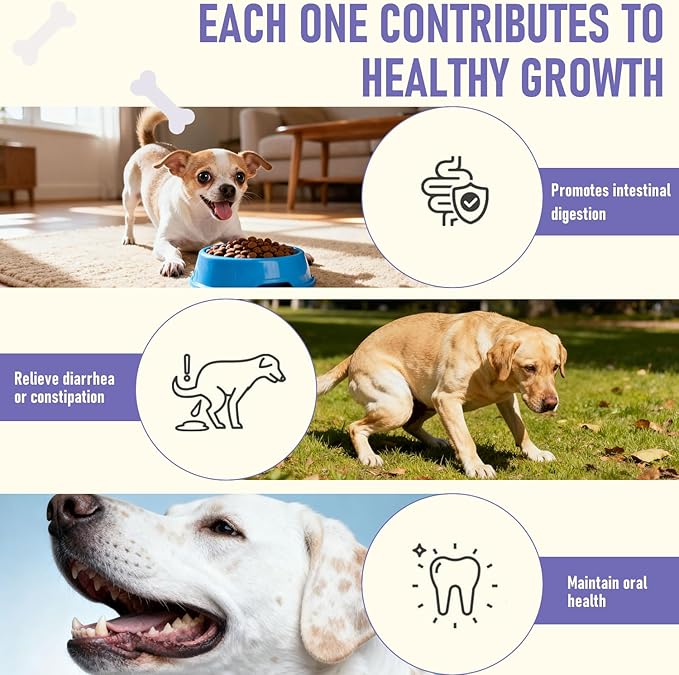 Dog Probiotics Probiotics for Dogs - Digestive Enzymes for Gut Flora, Digestive Health, Diarrhea & Bowel Support - Dog Supplement Soft Chew for Pet Immune System -（40ct ）