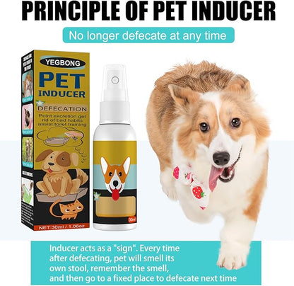 hejhncii Pet Dog Inducer Easy Potty Training Guide Pet to Pee at Fixed Spot Dog Supplies Positioning Defecation Inducer Puppy Training for Pee Pads