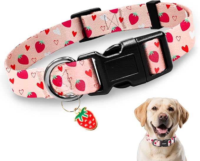 Kazazoo Dog Collar Cute and Soft Nylon Puppy Collar Girl, Adjustable Dog Collars for Medium Large Dogs, Strawberry-L