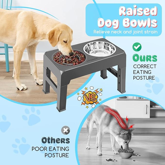 URPOWER Raised Dog Bowls 4 Height Adjustable Elevated Bowl Stand with Stainless Steel Water Bowl Non-Slip Dog Food Bowls Stand for Small Medium Large Dogs and Pets