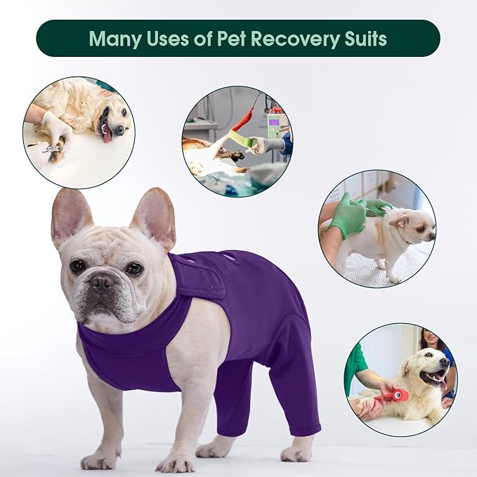 Kuoser Dog Recovery Suit for Rear Legs, Thigh Wound Protective Sleeve for Dogs, Dog Recovery Sleeve for Female Male Dogs, Dog Onesie After Surgery Pet Surgical Suit for Spay Neuter, Purple M
