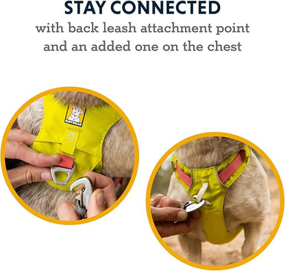 Ruffwear, Hi & Light, Everyday Lightweight Dog Harness, Trail Running, Walking, Hiking, All-Day Wear, Sage Green, Medium
